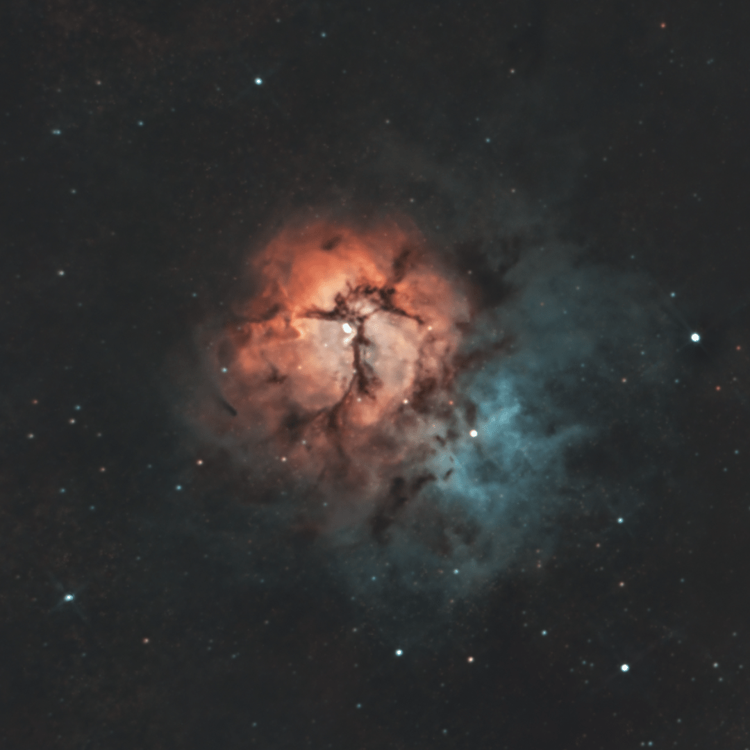 Triffid Nebula | MagSafe Phone Case - AstroImagery Shop